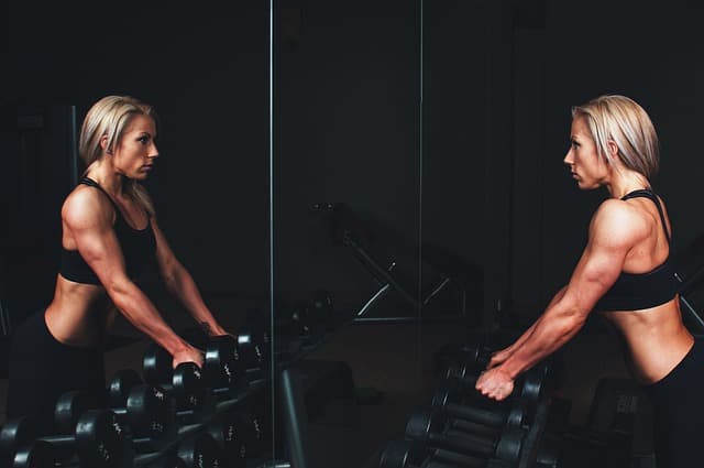 Programme de musculation
